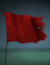A red flag.