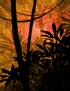 A jungle lit by orange light.