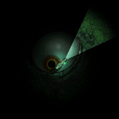 An eye on the sea floor.
