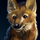 A strange fox-like creature.