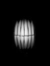 Teeth in a black background.