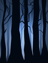 Moonlit woods.