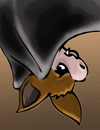 A bat.