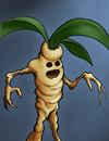 A mandrake, a root-like creature with a face.