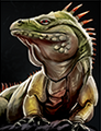A Suspicious Iguana.