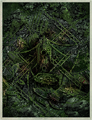 Thumbnail for version as of 00:28, 17 October 2016