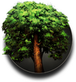 Thumbnail for version as of 07:31, 1 June 2019