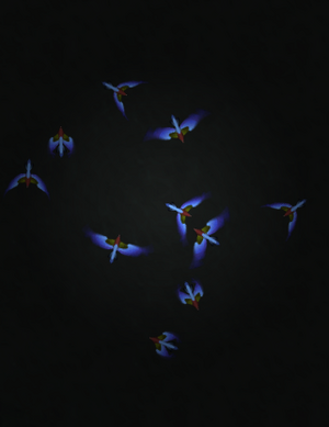 Flock