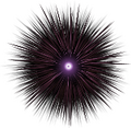 Thumbnail for version as of 06:37, 7 May 2019
