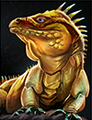 An Amber Iguana.