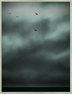 The Weather