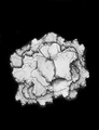 Thumbnail for version as of 00:54, 7 July 2023