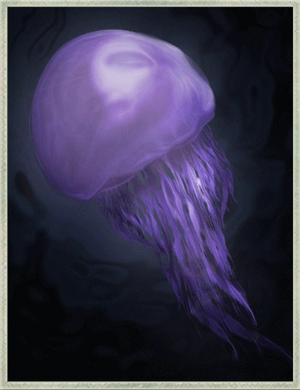 Jillyfish