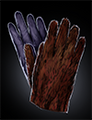 A pair of Birdskin Gloves.