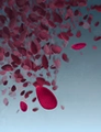 Thumbnail for version as of 22:32, 26 September 2019