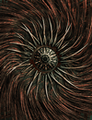 Thumbnail for version as of 21:46, 25 August 2020