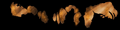 Thumbnail for version as of 16:20, 4 September 2015