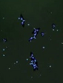 Thumbnail for version as of 18:34, 30 March 2021
