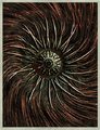 Thumbnail for version as of 21:44, 25 August 2020