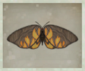 Thumbnail for version as of 15:38, 22 May 2020