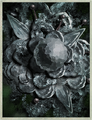 Thumbnail for version as of 16:11, 26 October 2019