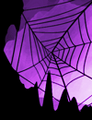 A cobweb in the Nadir. Charming.
