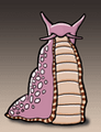 A Racing Slug of Fine Pedigree.