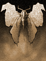 A Frost-Moth.