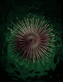 Thumbnail for version as of 21:37, 25 August 2020