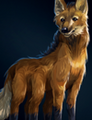 An Elongated Spindlewolf.
